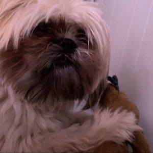 Meet your Posher, Leah